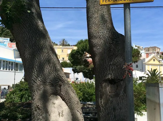 B&B Ponza Suite Bed and breakfast Ponza